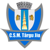 ACS特尔古日乌